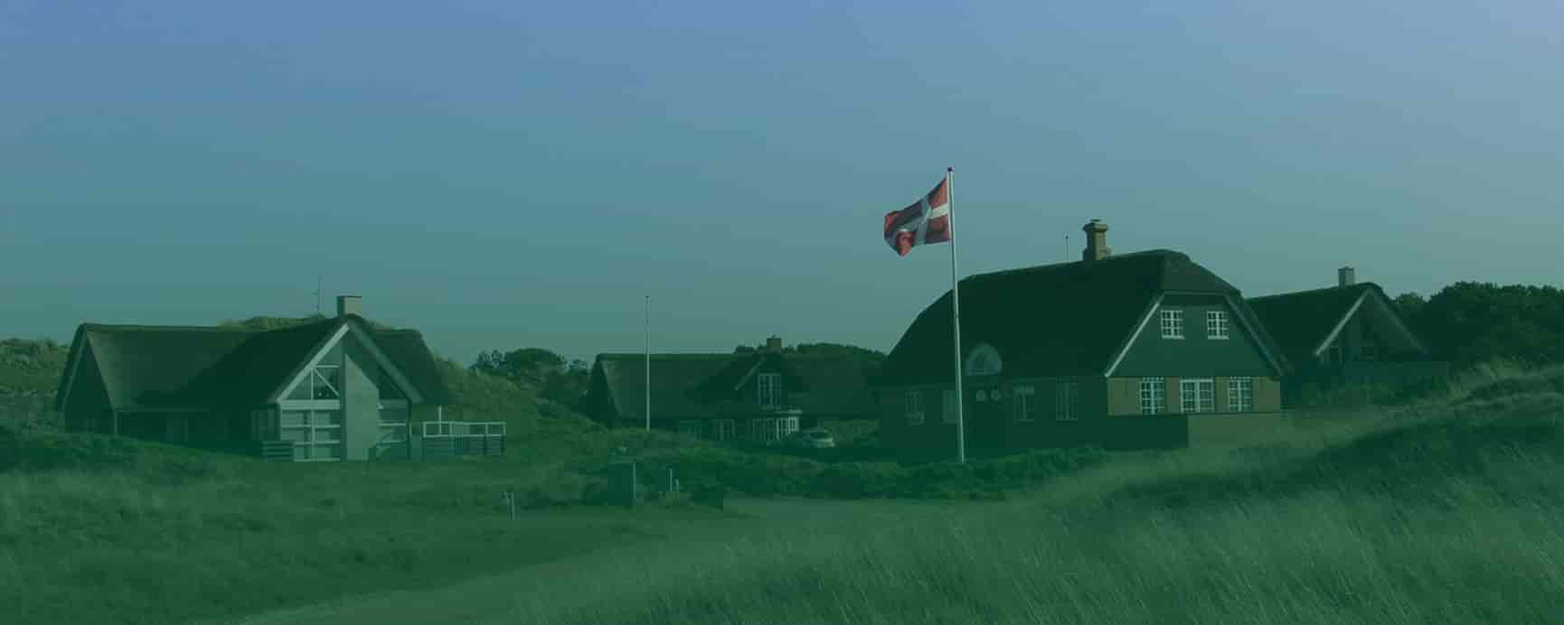 sommerhuse med dansk flag i flagstand